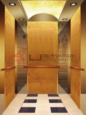 LJ-12-21 | L J Passenger Elevator