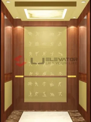 LJ-12-22 | L J Passenger Elevator