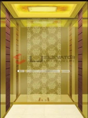 LJ-12-23 | L J Passenger Elevator