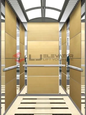 LJ-12-24 | L J Passenger Elevator