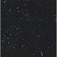 car floor 2