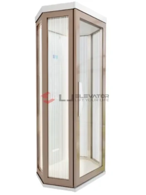 LJ-H2-J | L J Villa Elevator