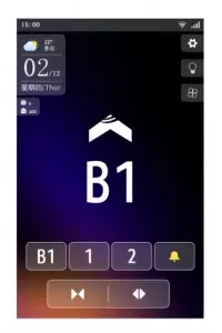 optional standby interface 2