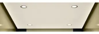 una series stanard car ceiling 1