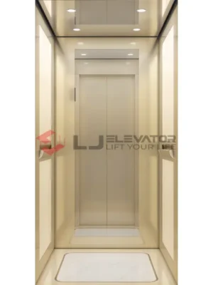 Vigo2-11 | LJ Home Elevator