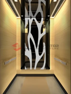 XS105 | L J Passenger Elevator