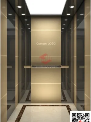 best passenger elevator - LJ-K17 - LJ Elevator