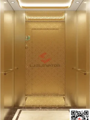 high quality passenger elevator - LJ-K19 - LJ Elevator
