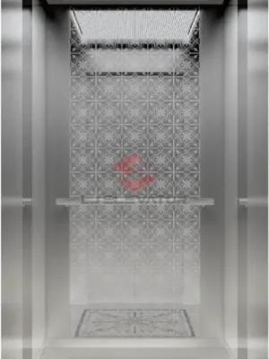 villa elevator - LJ-E02 - LJ Elevator